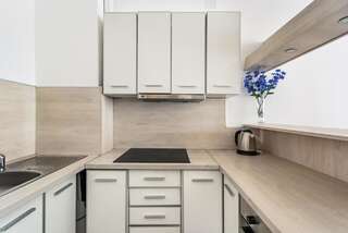 Апартаменты Apartments BEATRICE Rafailovici Рафаиловичи Апартаменты с 1 спальней-12